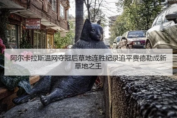阿尔卡拉斯温网夺冠后草地连胜纪录追平费德勒成新草地之王
