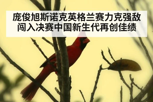 庞俊旭斯诺克英格兰赛力克强敌闯入决赛中国新生代再创佳绩
