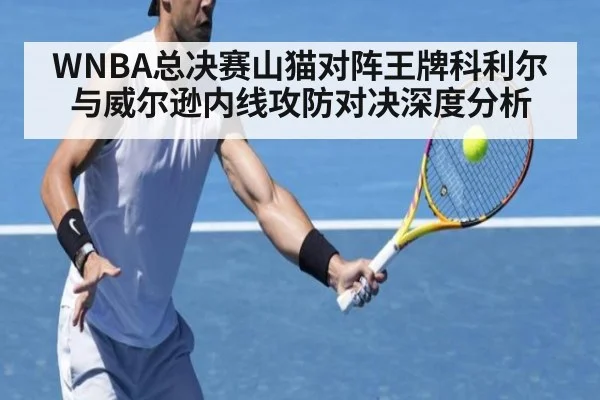 WNBA总决赛山猫对阵王牌科利尔与威尔逊内线攻防对决深度分析